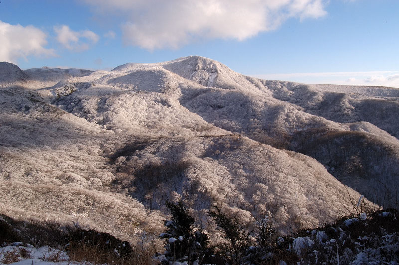 5575ac774ca923e038358c2640899223_1668070687_0069.jpg 5575ac774ca923e038358c2640899223_1668070687_0069.jpg