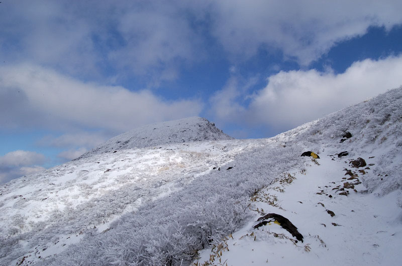 5575ac774ca923e038358c2640899223_1668071245_4601.jpg 5575ac774ca923e038358c2640899223_1668071245_4601.jpg