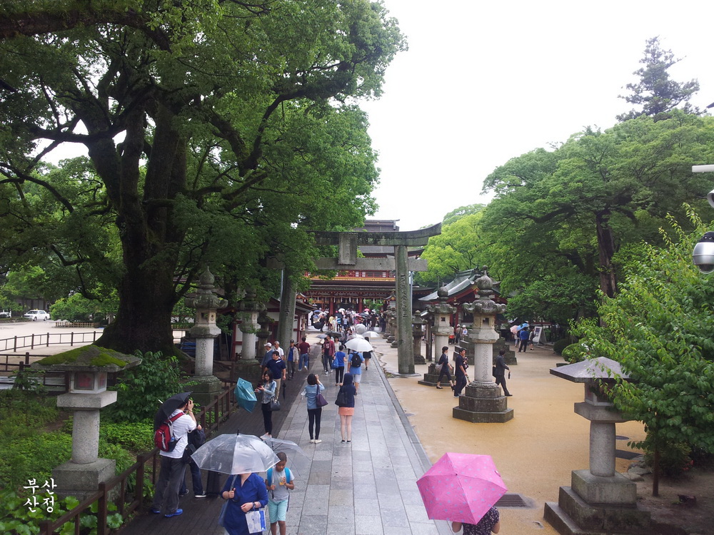 5575ac774ca923e038358c2640899223_1668071921_2499.jpg 5575ac774ca923e038358c2640899223_1668071921_2499.jpg