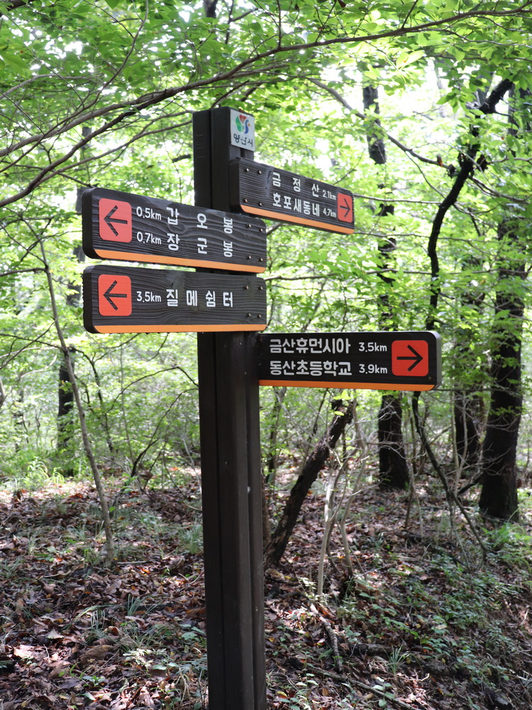 edb95e6333980b2d90c13bb9c71a0854_1757927379_9498.JPG
