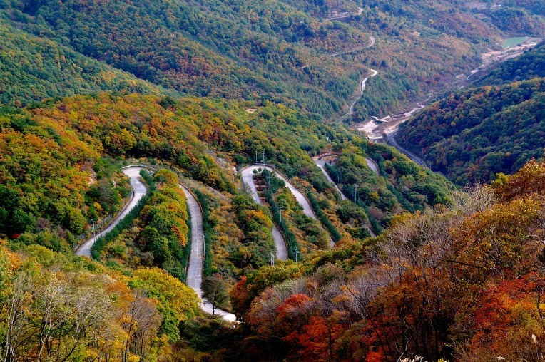 6aad0c5a7a652a62b1fe523b7142b476_1763255402_4121.jpeg 6aad0c5a7a652a62b1fe523b7142b476_1763255402_4121.jpeg