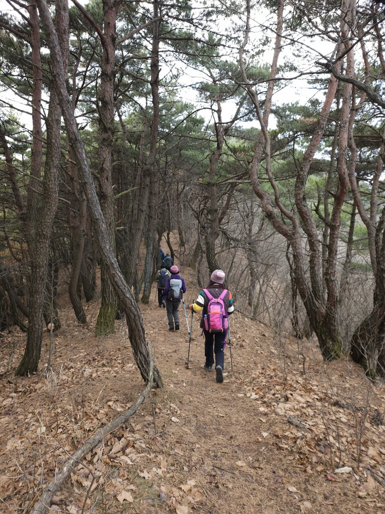 80563867fdf8bda82d688c04d31d1053_1766990600_4203.jpg 80563867fdf8bda82d688c04d31d1053_1766990600_4203.jpg