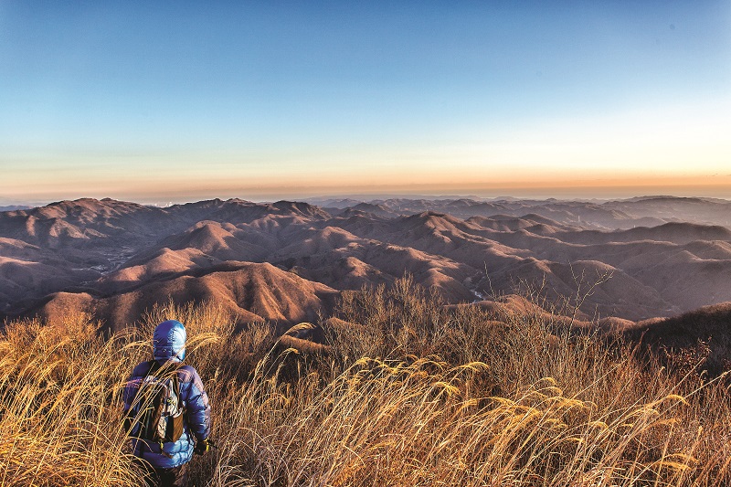 169a7c93b94f66f90002ce3c2bd16249_1767569800_8205.jpg 169a7c93b94f66f90002ce3c2bd16249_1767569800_8205.jpg