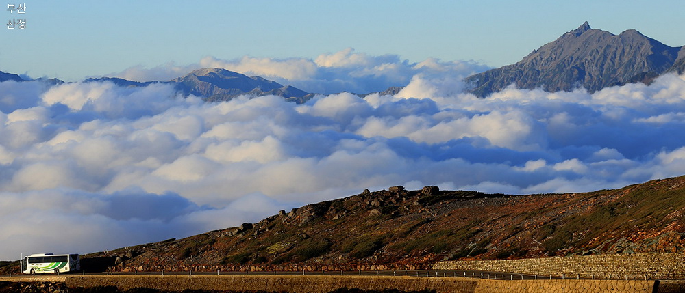 9024ea3e3eddb9f57aa9fe7fa47db4ac_1769239985_1463.jpg 9024ea3e3eddb9f57aa9fe7fa47db4ac_1769239985_1463.jpg