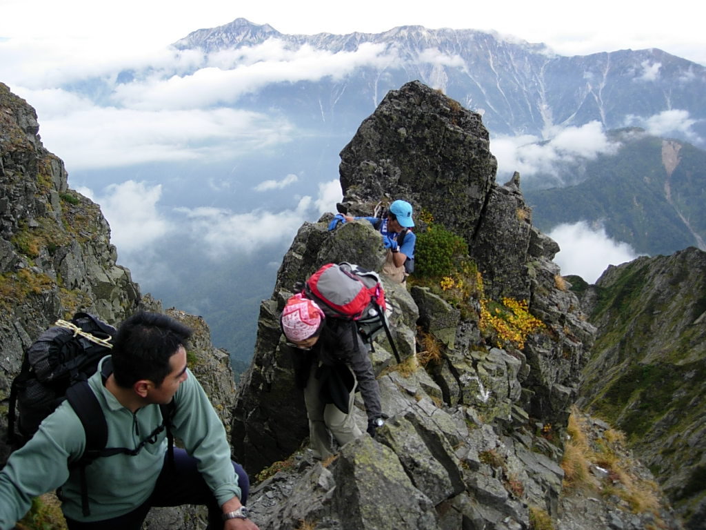 afa22f7d370e966876e32e0790aace62_1771892542_137.jpg afa22f7d370e966876e32e0790aace62_1771892542_137.jpg