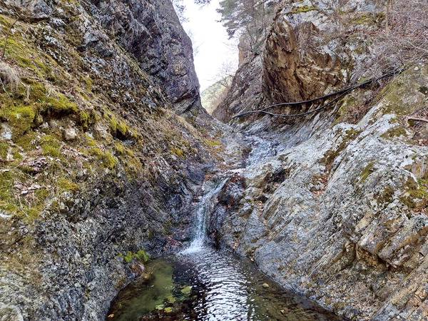 f624486eeb0aab26fe43e4b160bc7fb7_1772502027_919.jpeg f624486eeb0aab26fe43e4b160bc7fb7_1772502027_919.jpeg