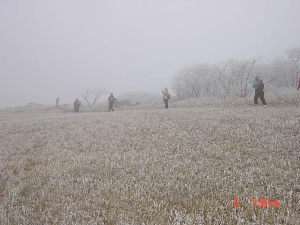 DSC06404.JPG