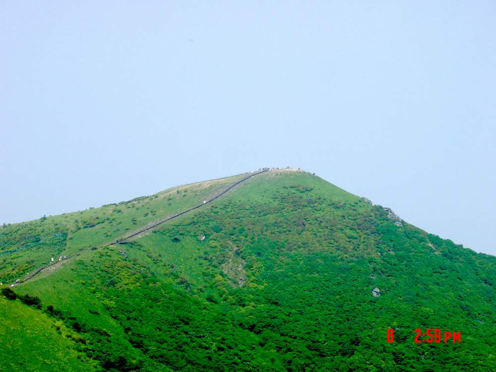 DSC02663.JPG