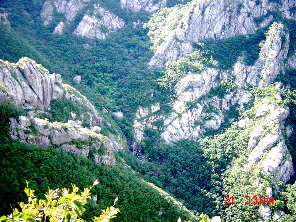 DSC03139.JPG