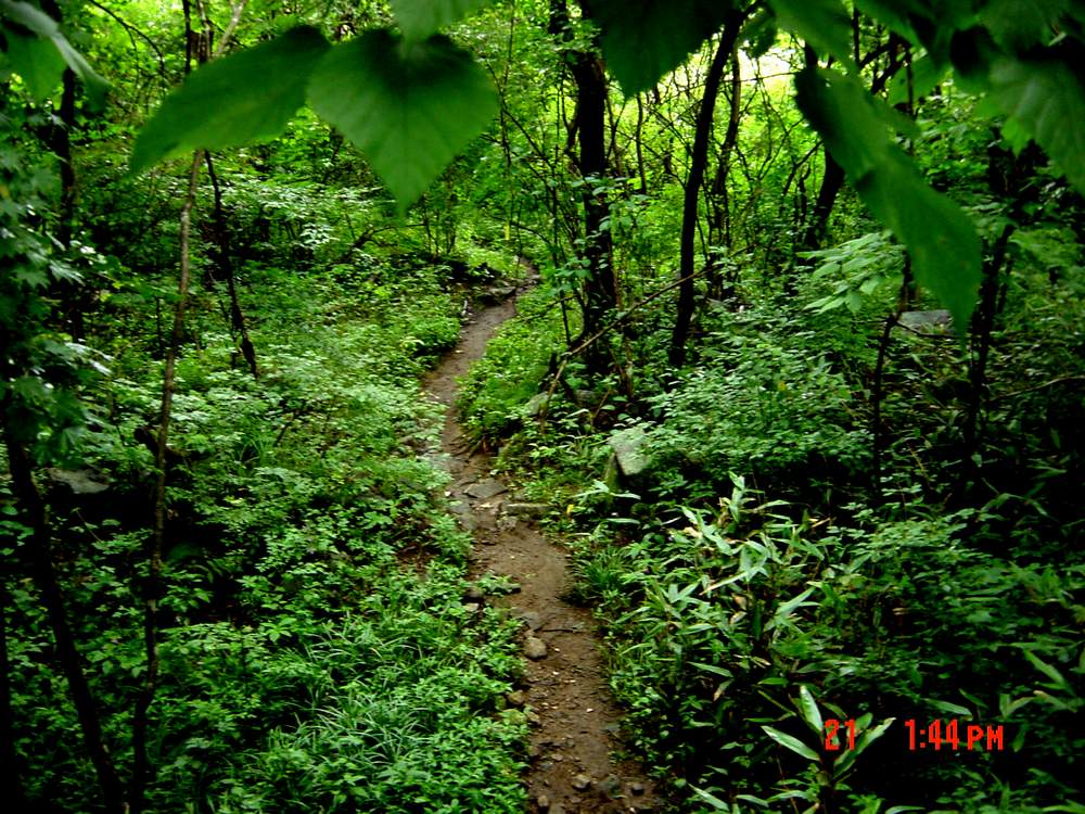 DSC09231.JPG