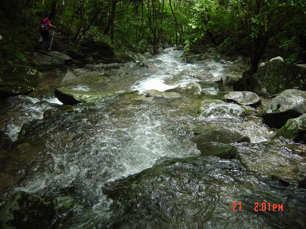 DSC09236.JPG
