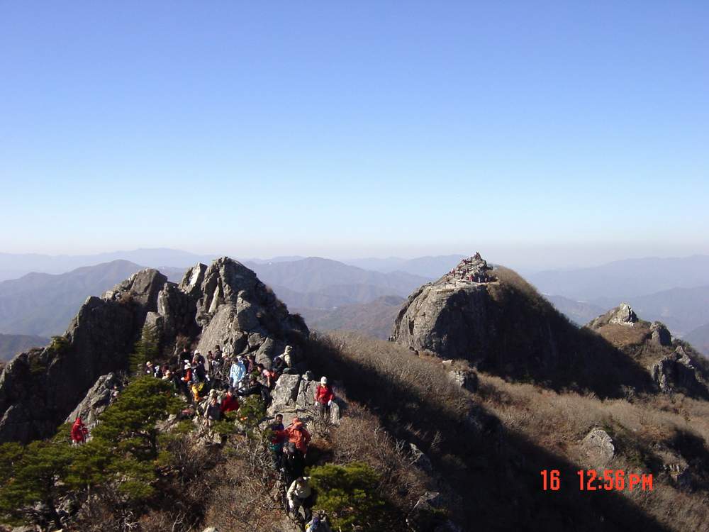 DSC03570.JPG