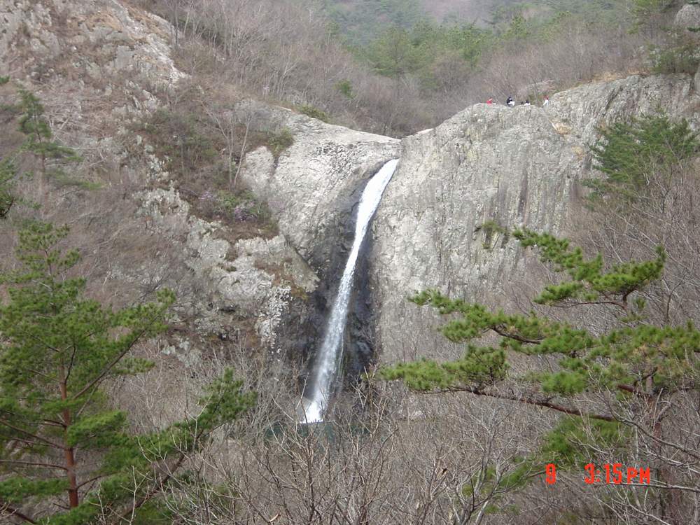 심재춘 이미지