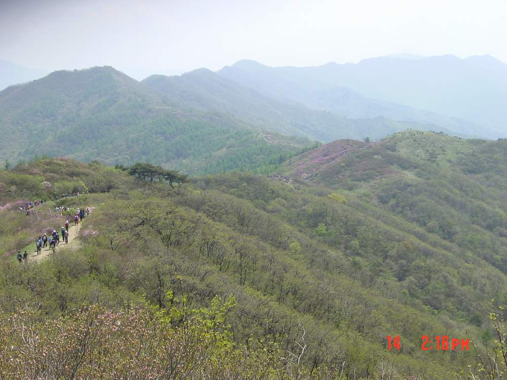 DSC05823.JPG