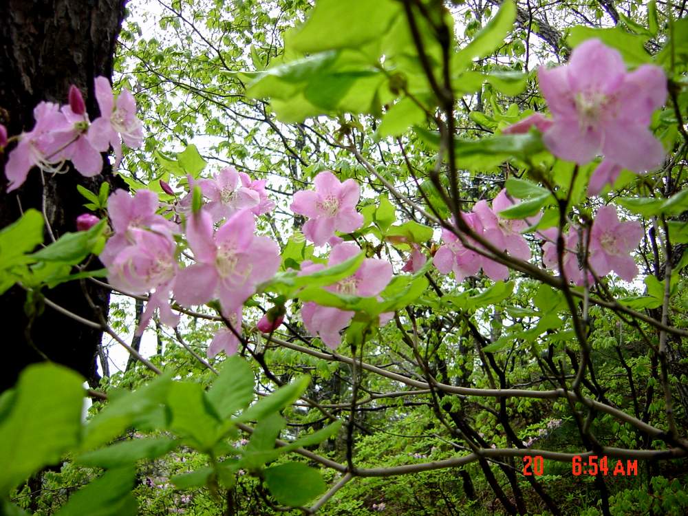 DSC01868.JPG