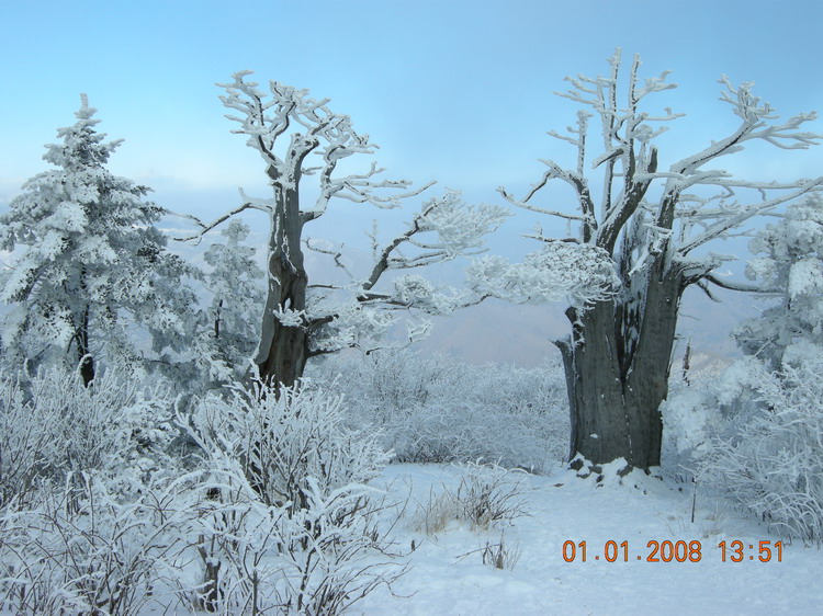 DSCN1169.jpg