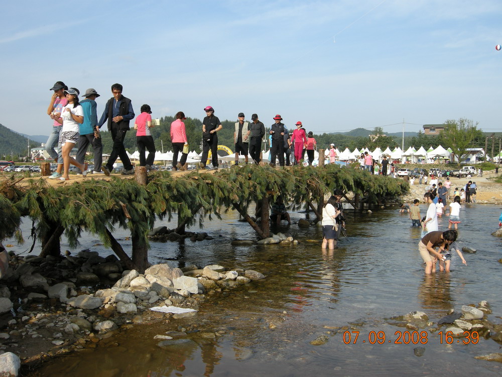 DSCN4211.jpg